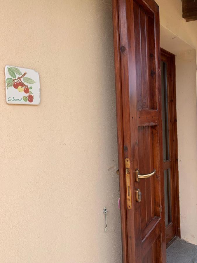 Agriturismo Terra Noas Villaurbana Luaran gambar